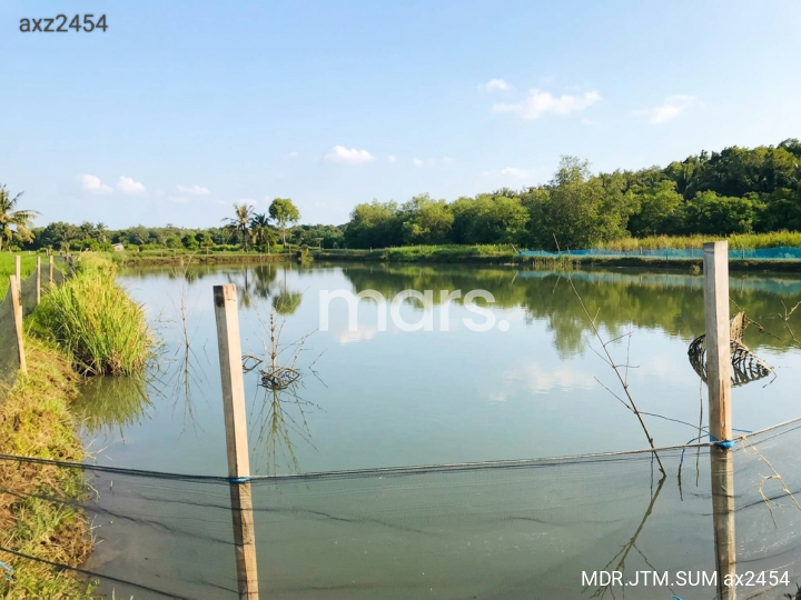 Foto Listing Jual Tanah Tambak 4,5Ha Tanah Merah Sumenep Madura